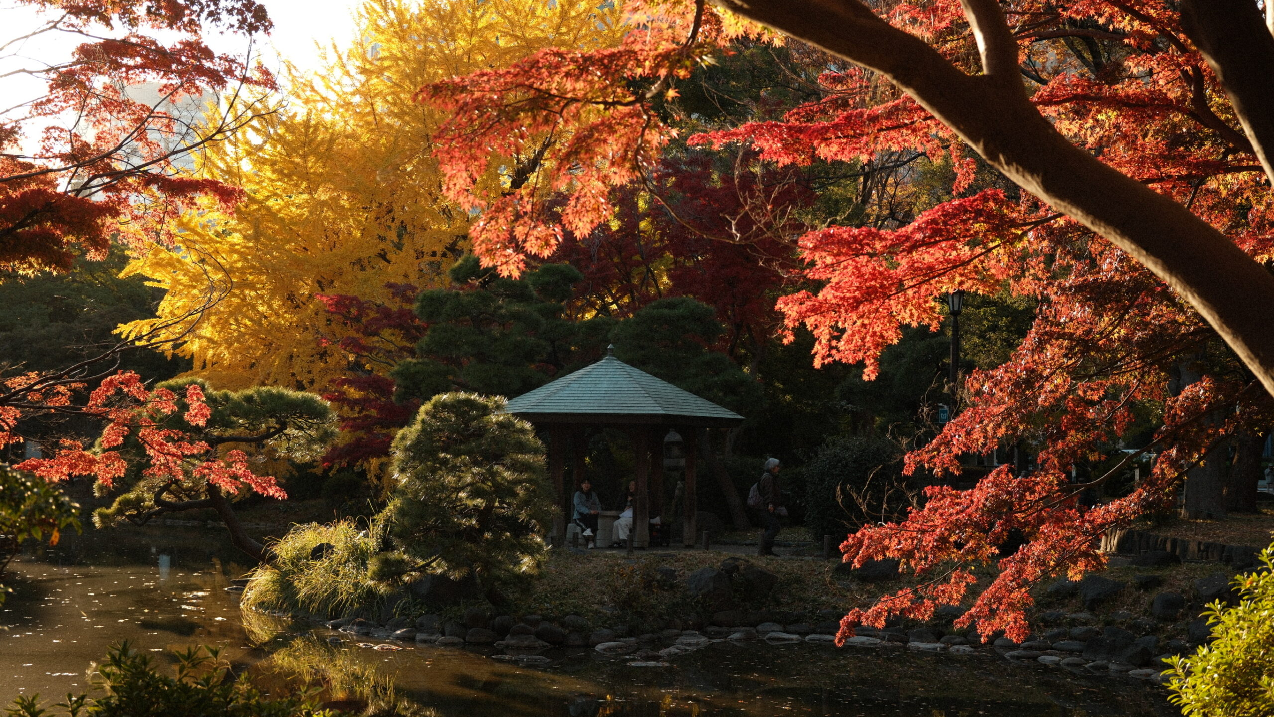 Япония 🇯🇵